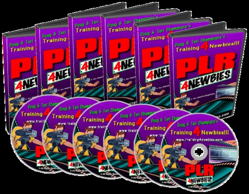 Product picture PLR For Newbies Video Series, Easy to make more money